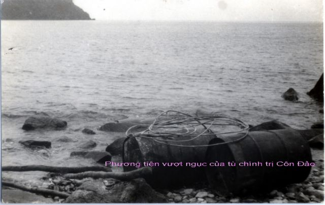 1729925952770.png