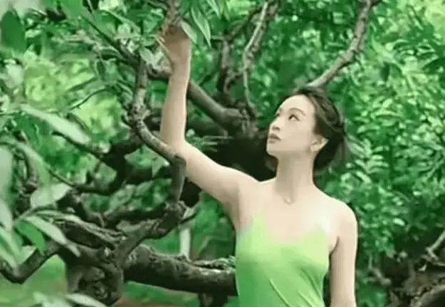 1730103377366.png 1730103377366.png