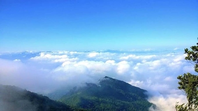 1730191812784.png