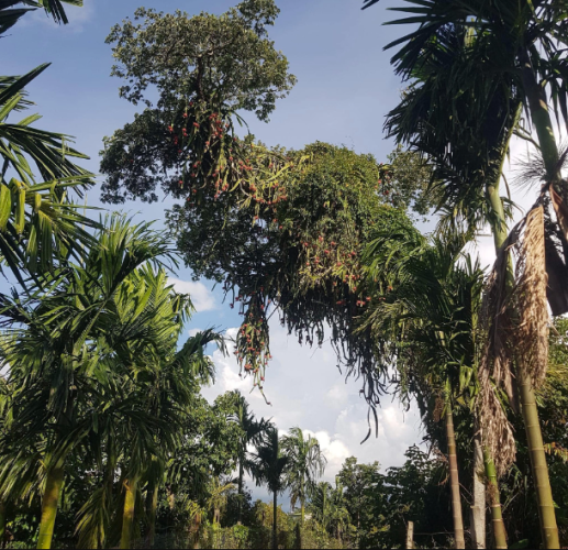 1730219805996.png 1730219805996.png