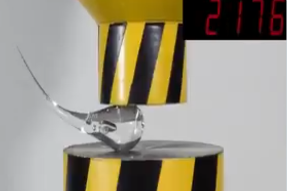 1747447889699.png