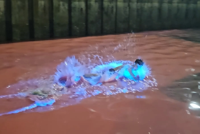 1747648725175.png 1747648725175.png