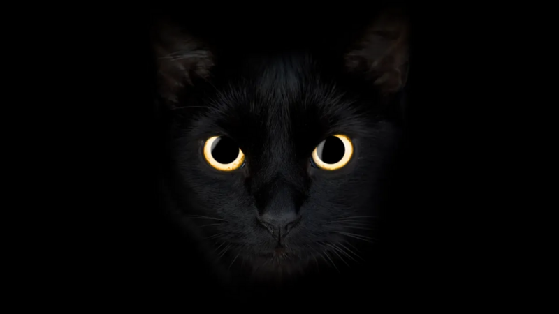 1748528553019.png 1748528553019.png
