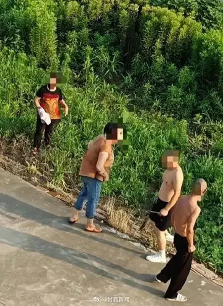1756088195951.png 1756088195951.png