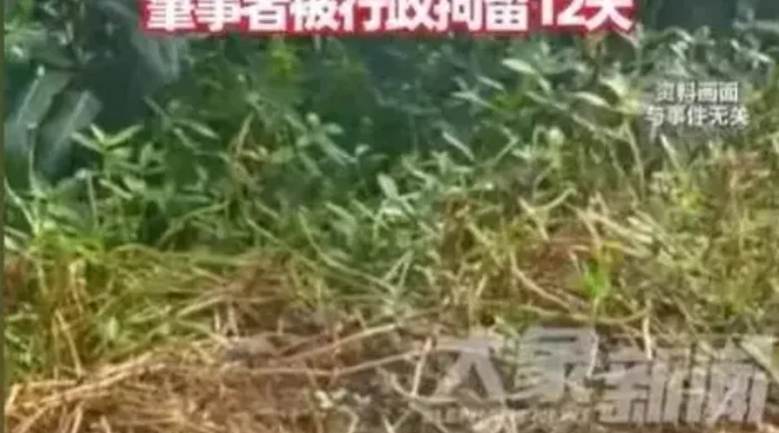 1756088205258.png 1756088205258.png