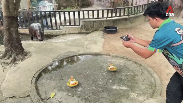 1730905068803.png 1730905068803.png