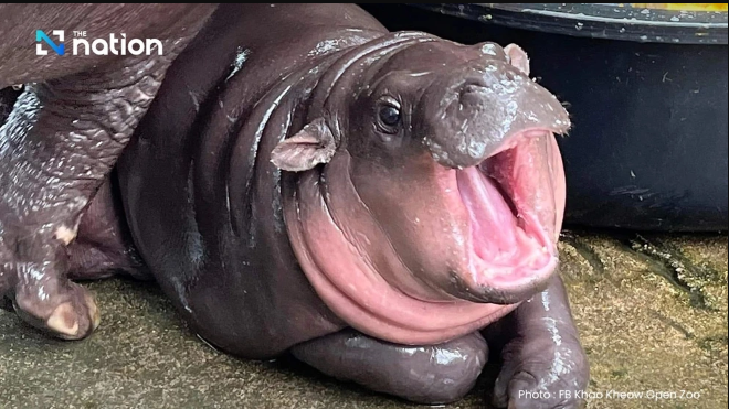 1730905095838.png 1730905095838.png