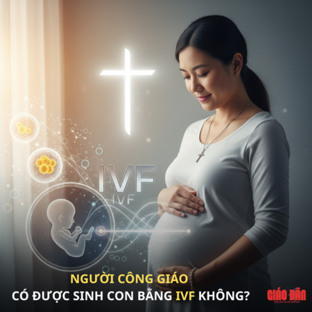 Người Công Giáo có được sinh con bằng IVF không.png