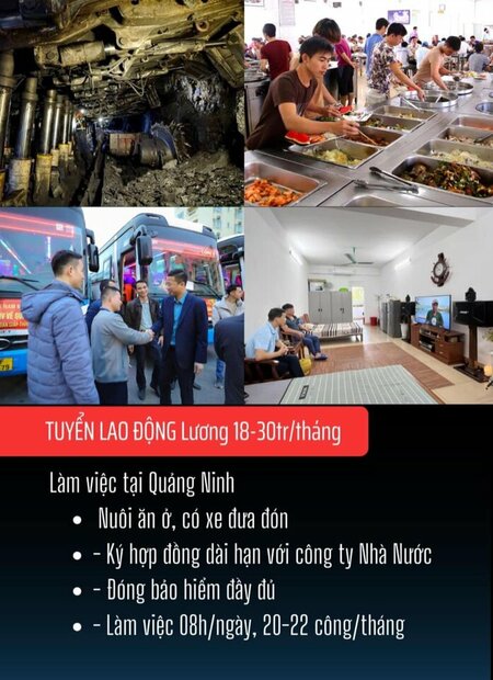 Trường Cao Đẳng Than Khoáng Sản Việt Nam- TKV; Tuyển lao động Nam 18- 40 Tuổi biết đọc; biết viết