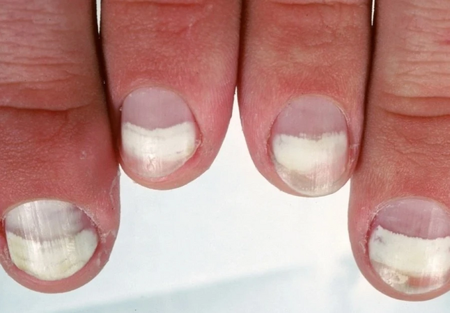 1761696204691.png 1761696204691.png