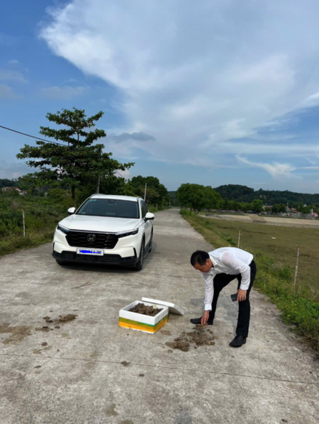 Đi xế hộp, áo trắng quần tây nhặt phân trâu