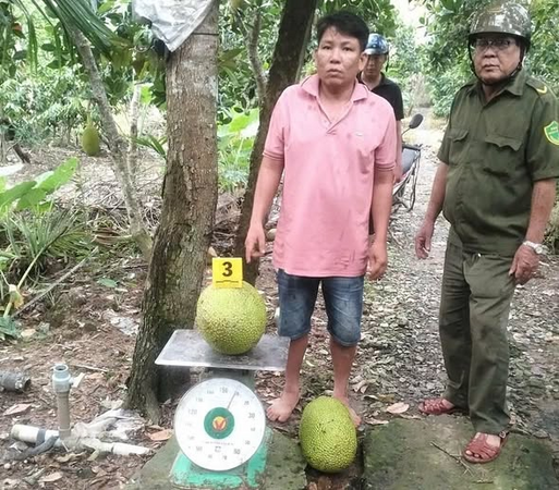 1761741763718.png 1761741763718.png