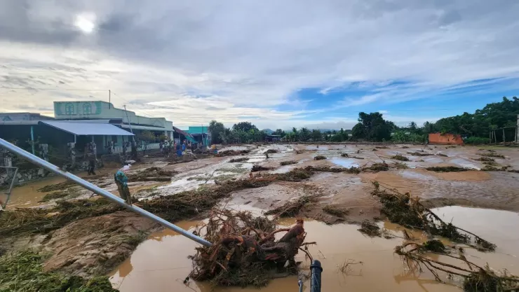 1762071529145.png 1762071529145.png