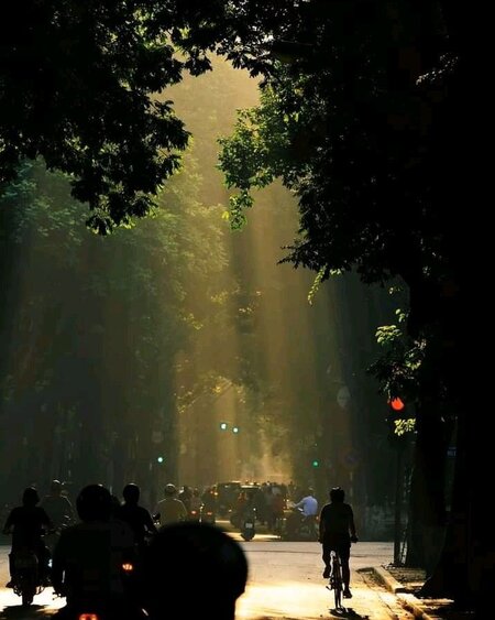 Hà Nội mùa đông có đẹp không vậy?