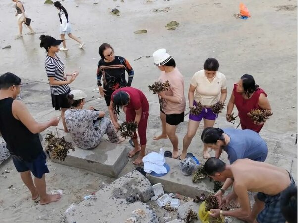 Du lịch Nha Trang chớ bẻ san hô về làm quà nhớ! Hai du khách bị phạt 50 triệu đồng