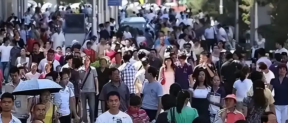 1787751509624.png