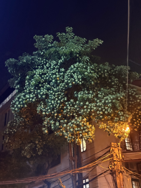 1791897515353.png