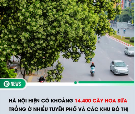 1791969190778.png
