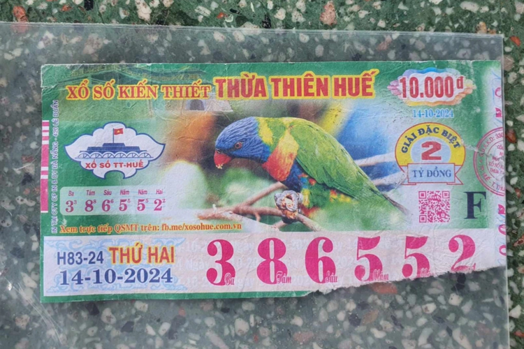 1732862800702.png 1732862800702.png