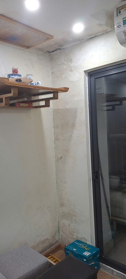1733614934472.png