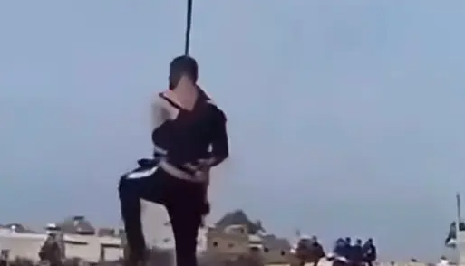 1733817655386.png 1733817655386.png