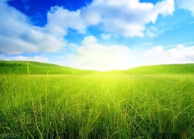 1734147487846.png 1734147487846.png