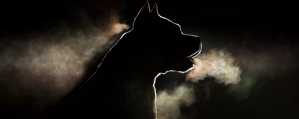 1735297118489.png 1735297118489.png