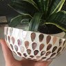 rose.craftlink