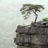 hoangthoa.bcqn