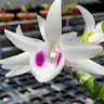 thanhluong65ht