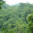 hoangtrinhkl