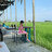 Duy Mẫn
