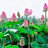 truong nam