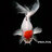 Gone