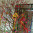 quangcuong1981tnmt@gmail.