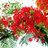 nguyenthiphuongkthv@gmail
