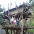 Vinh1977