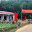 hoàng quang tứ