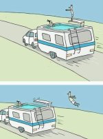 Capture.JPG