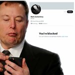 Elon Musk bi mark chan.jpg