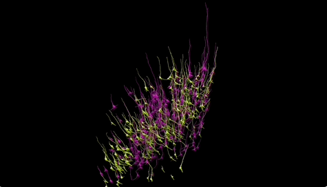 1715417880046.png 1715417880046.png