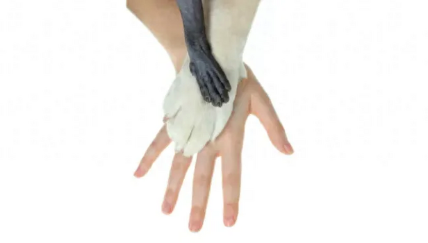 1715505149500.png