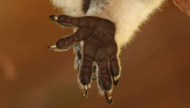 1715505287694.png