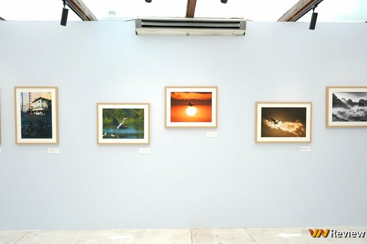 DSC01451 (Copy).jpg
