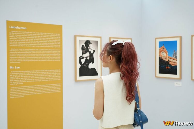 DSC01465 (Copy).jpg
