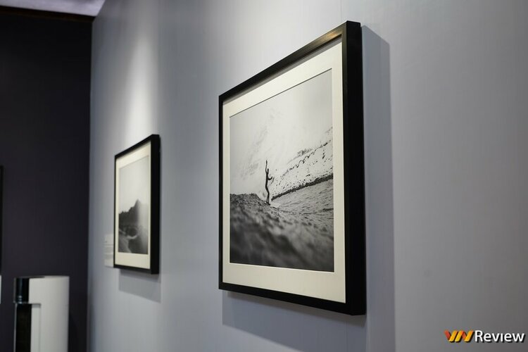 DSC01564 (Copy).jpg