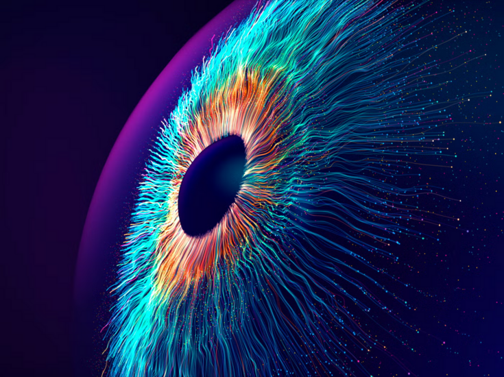 1780394227805.png 1780394227805.png