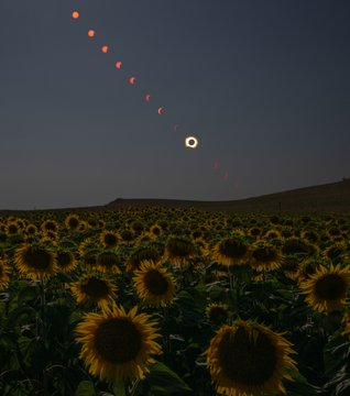 1786680438706.png