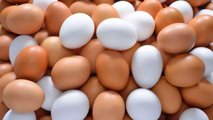 1721095301952.png 1721095301952.png
