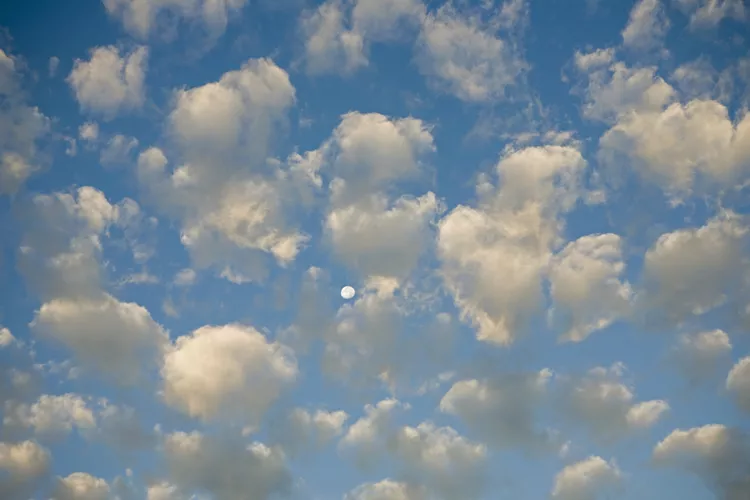 1721986208564.png 1721986208564.png